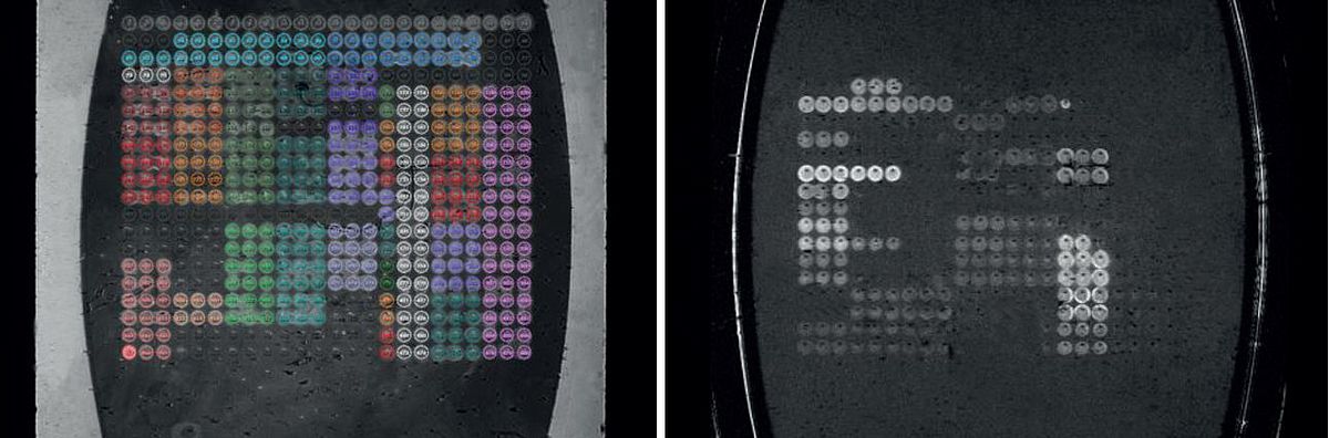 Flow cell image (left) and difference image (right).