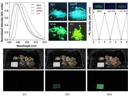 Understanding the Relationship Between Molecular Structure and Aggregate Behavior in Nonconjugated Rhodamine Derivatives Unlocks Their Potential in Food Spoilage Detection
