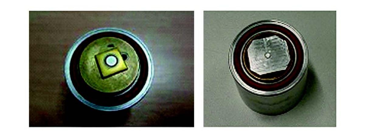 Samples on small sample holder.