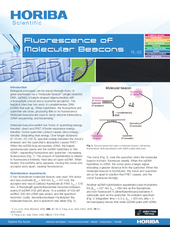 Fluorescence of Molecular Beacons thumbnail