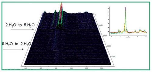 Raman Microscopy in Pharmaceutical Salt Analysis