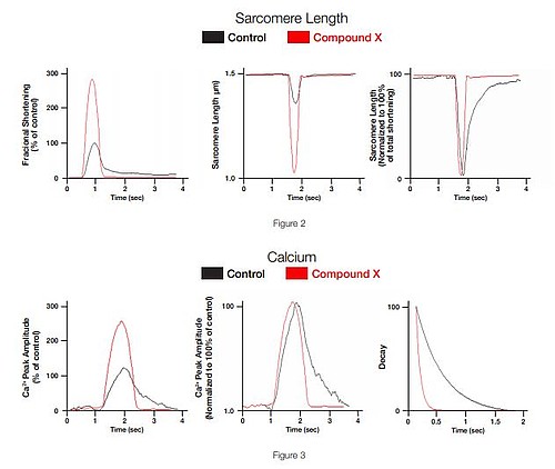 Studying heart disease by simultaneous measurement of changes of Sarcomere Length