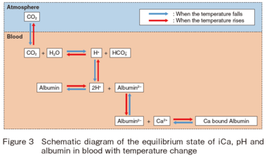 Schematic diagram of the equilibrium state of iCa, pH and albumin in blood with temperature change
