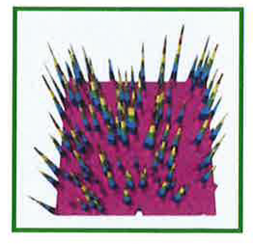 Observing Oxidating Kinetics on an aluminium alloy surface with Fluorescence mapping