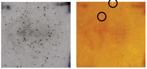 Gun Shot Residue analysis using X-ray fluorescence micro-analysis