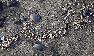 What are microplastics What are microplastics