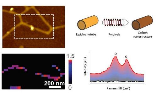 TERS Characterization of Lipid Nanotubes as Carbonaceous Material for Electrodes TERS Characterization of Lipid Nanotubes as Carbonaceous Material for Electrodes