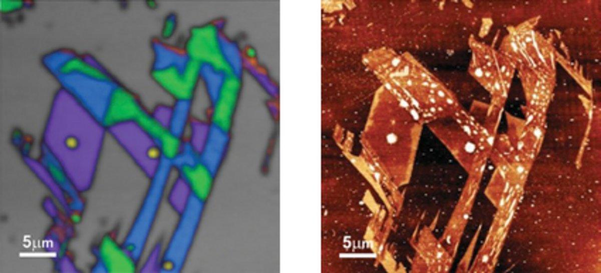Combined Raman and AFM (Atomic Force Microscope) analysis provides enhanced information on sample composition and structure by collecting physical and chemical information on the same sample area.