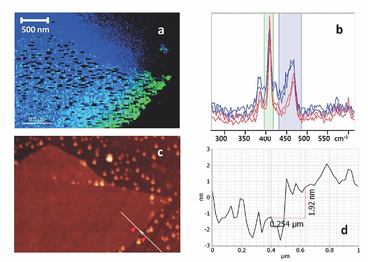 TERS imaging of 2D materials.