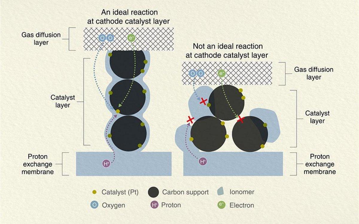 Figure 1. Schematic diagram of the ideal reaction at the cathode catalyst layer in a fuel cell.