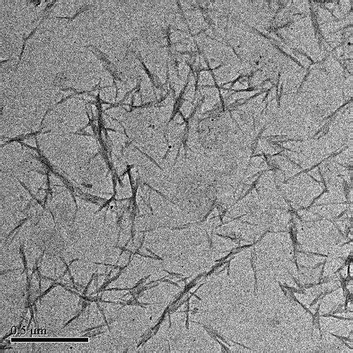 Particle Size Analysis of Acid Hydrolyzed Cellulose Nanocrystal