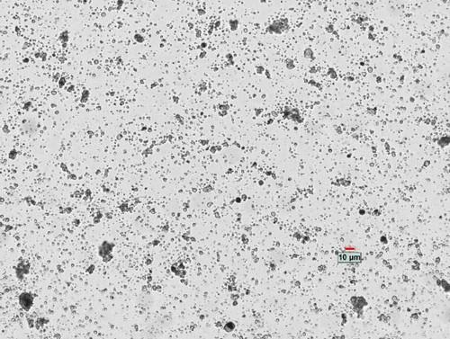 Particle Size Determination of Mineral-Based Sunscreens: A Complex Analytical Application