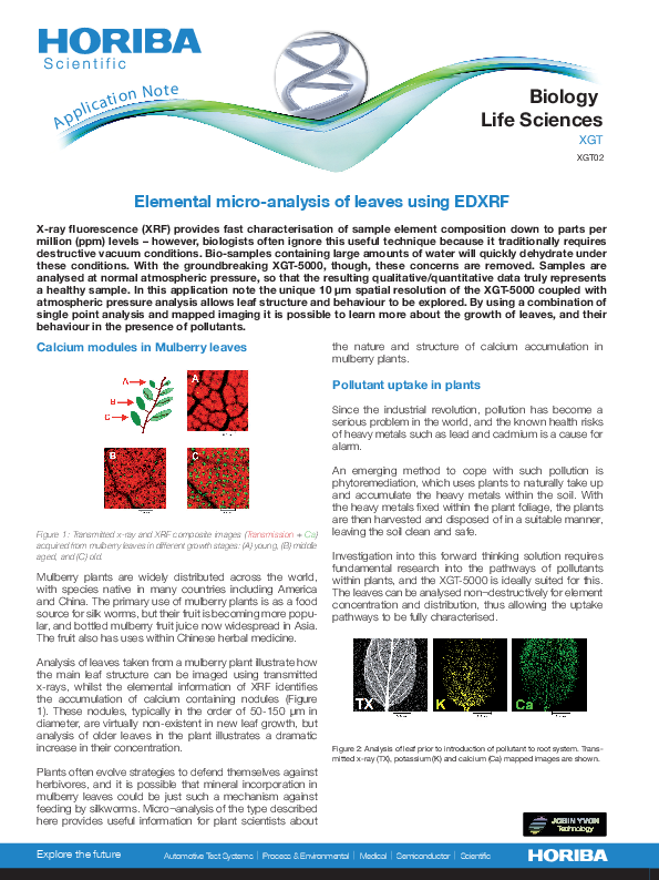 Elemental Micro-Analysis of Leaves using EDXRF thumbnail
