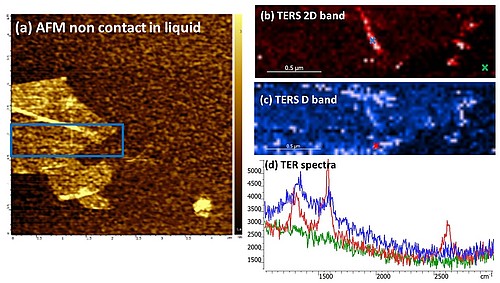 AFM-TERS measurements in a liquid environment with side illumination/collection AFM-TERS measurements in a liquid environment with side illumination/collection