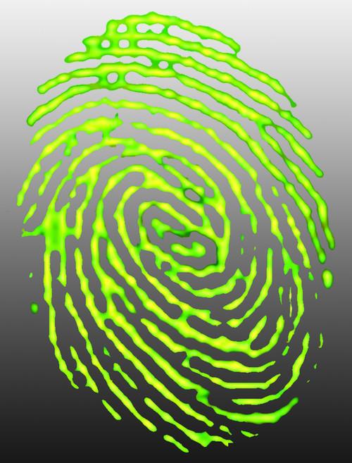 The non destructive and in-situ identification of different black inks using Raman Spectroscopy