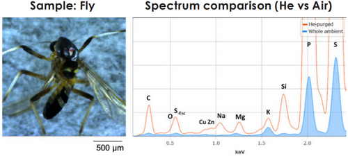 Metabolism Investigation of Biological Samples