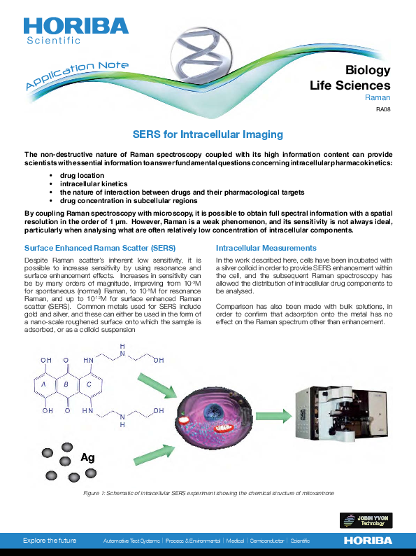 Intracellular Imaging thumbnail