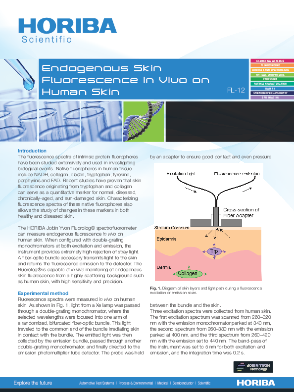 Endogenous Skin Fluorescence In Vivo on Human Skin thumbnail
