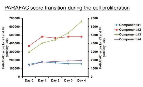 Holistic Analysis of Mammalian Cell Proliferation using Fluorescence Spectroscopy
