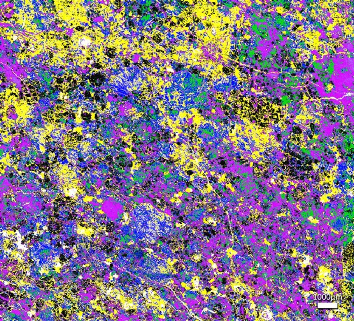 Optical Micro-spectroscopies on a Path to Identify the Source of Life Optical Micro-spectroscopies on a Path to Identify the Source of Life