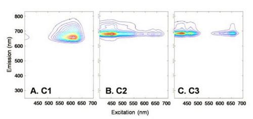 Harmful Algal Blooms (HABs)