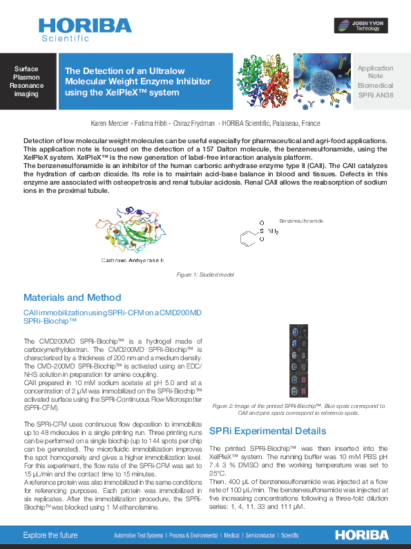 The Detection of an Ultralow Molecular Weight Enzyme Inhibitor thumbnail