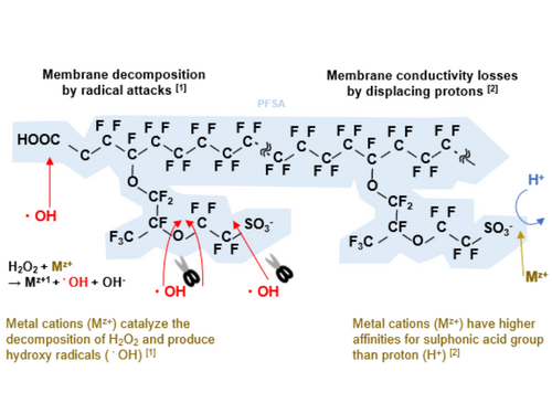 Metal elusion imaging using micro-XRF to identify the root cause of PEMFC degradation