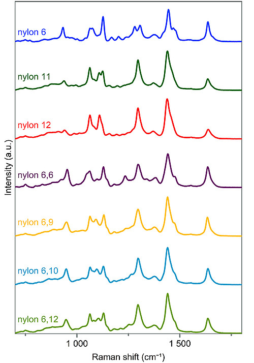 Rapid Polymer Identification of Fishing Gear Using Raman Spectroscopy