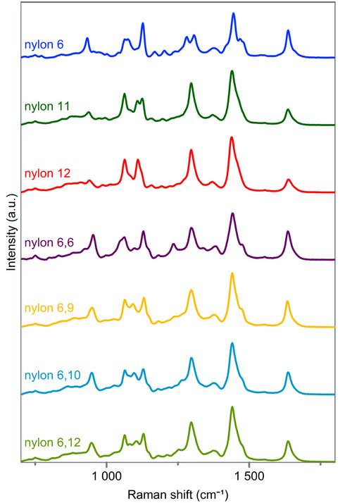 Rapid Polymer Identification of Fishing Gear Using Raman Spectroscopy