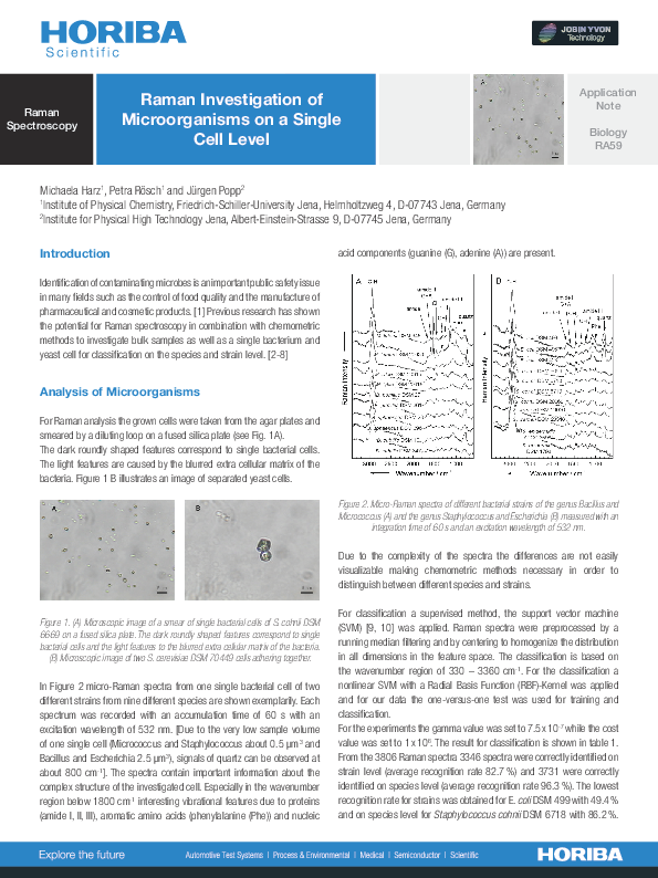 Raman Investigation of Microorganisms on a Single Cell Level thumbnail