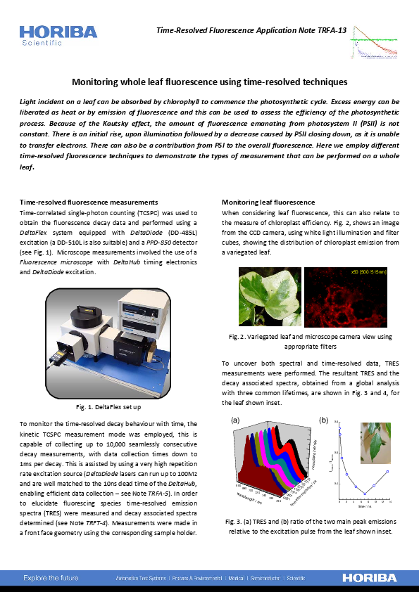 Monitoring whole leaf fluorescence using time‐resolved techniques thumbnail