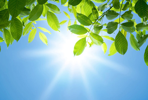 Air Quality Monitoring