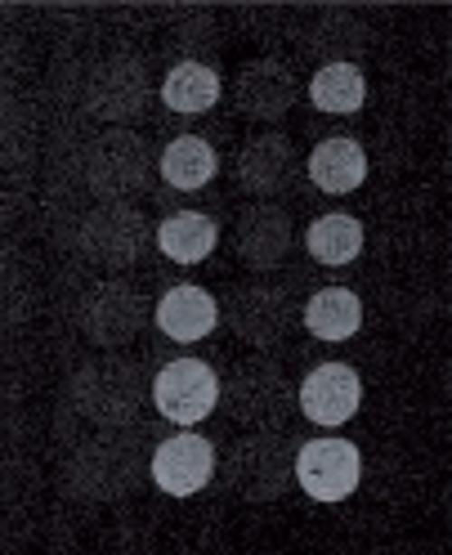 Detection of birch pollen allergen in the air