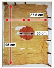 Pigment identification of an old Japanese flag “Hinomaru” using micro-XRF and Raman microscopy