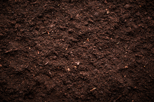 Carbon Analysis: Organic and Inorganic Carbon in Soils
