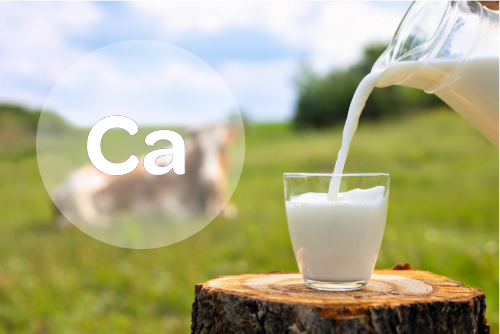 Compact benchtop EDXRF: An Easy and Rapid Method for Calcium Determination in Milk