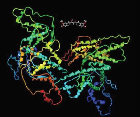 Dye‐protein binding monitored in a microliter volume using timeresolved fluorescence