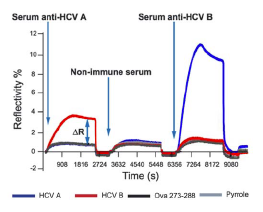 Protein-Peptide interactions studies with SPRi