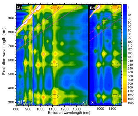 Photoluminescence of SWNTs