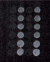 Detection of birch pollen allergen in the air