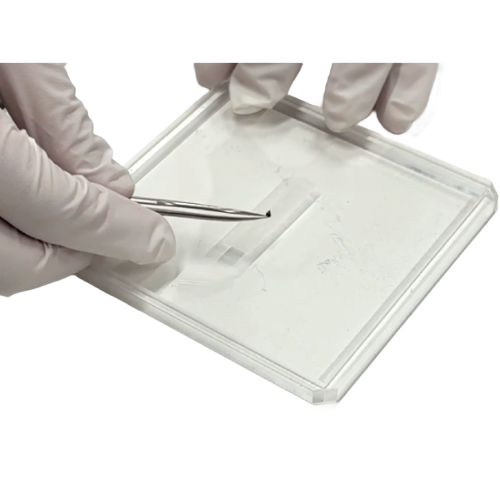 Identification of Rubber Fragment Foreign Matter Using Micro XRF and Spectrum Matching
