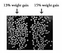 Particle Size Analysis of Pharmaceutical Sugar Spheres ...