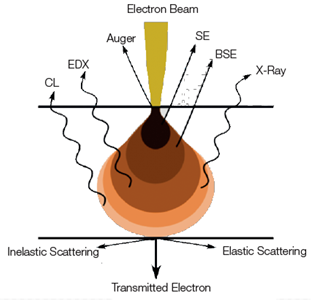 electron horiba