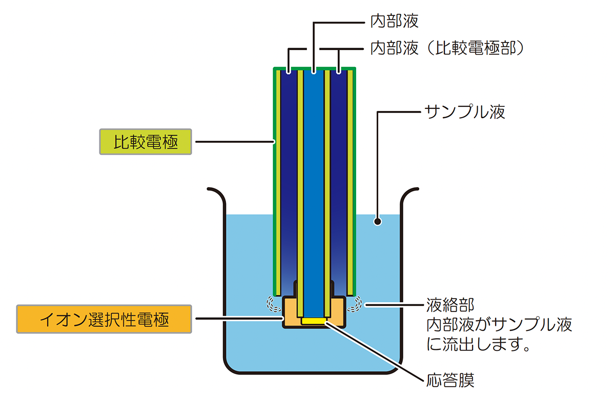 イオン選択性電極について - HORIBA