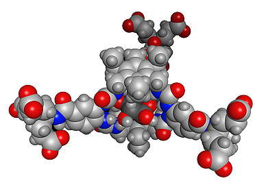 Glucose binding receptor