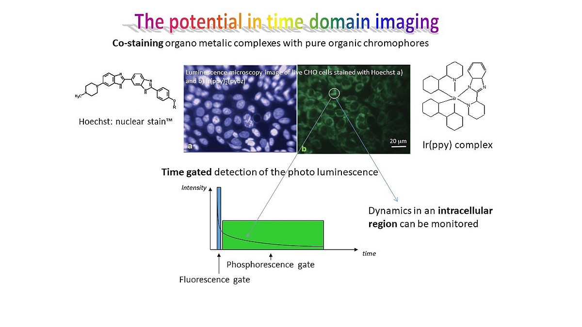 The potential in time domain imaging