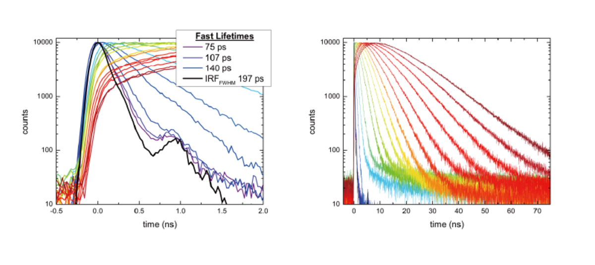 蛍 高感度蛍光分光