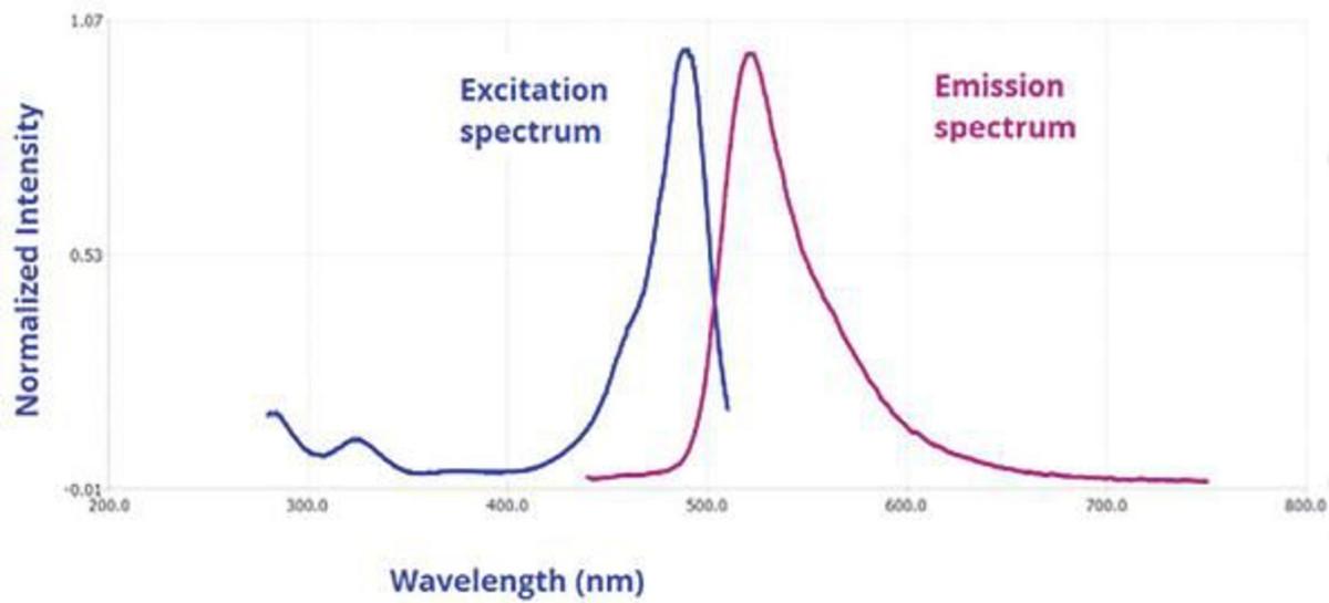 What is Fluorescence Spectroscopy?