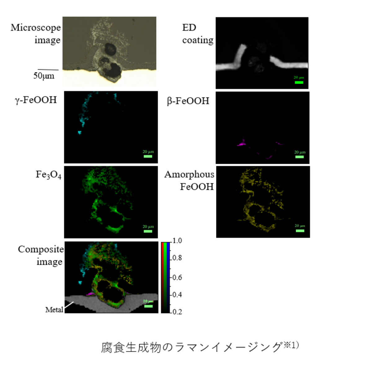 腐食生成物のラマンイメージング