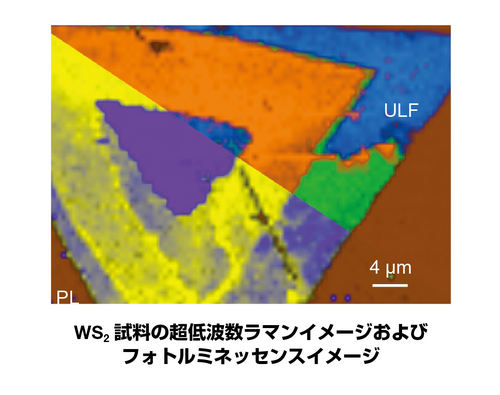 WS2試料の超低波数ラマンイメージおよびフォトルミネッセンスイメージ